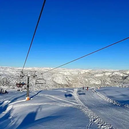Apartment For Rent In Gautefall, Great Location For Skiing, Hiiking And Mountain Biking, Self Serviced But Housekeeping Can Be Added For An Extra Fee Drangedal Exterior photo
