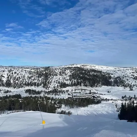 Apartment For Rent In Gautefall, Great Location For Skiing, Hiiking And Mountain Biking, Self Serviced But Housekeeping Can Be Added For An Extra Fee Drangedal Exterior photo