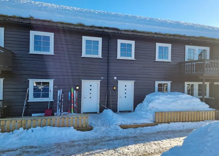 Apartment For Rent In Gautefall, Great Location For Skiing, Hiiking And Mountain Biking, Self Serviced But Housekeeping Can Be Added For An Extra Fee