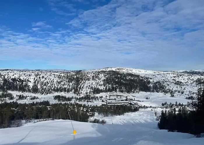 Apartment For Rent In Gautefall, Great Location For Skiing, Hiiking And Mountain Biking, Self Serviced But Housekeeping Can Be Added For An Extra Fee