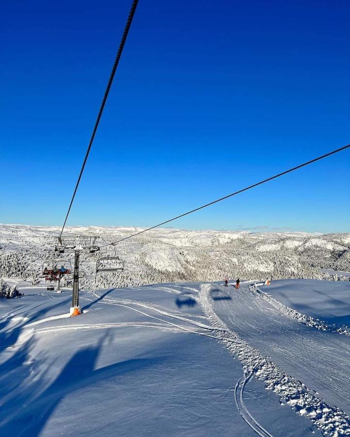 For Rent In Gautefall, Great Location For Skiing, Hiiking And Mountain Biking, Self Serviced But Housekeeping Be Added For An Extra Fee * Drangedal