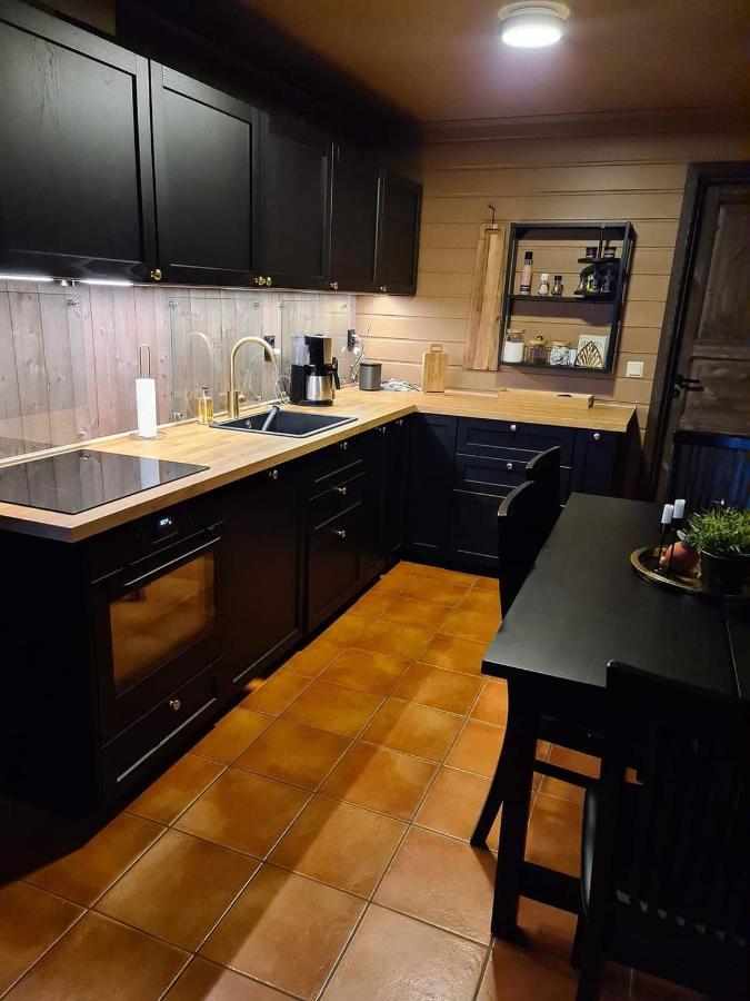For Rent In Gautefall, Great Location For Skiing, Hiiking And Mountain Biking, Self Serviced But Housekeeping Be Added For An Extra Fee Lägenhet Drangedal