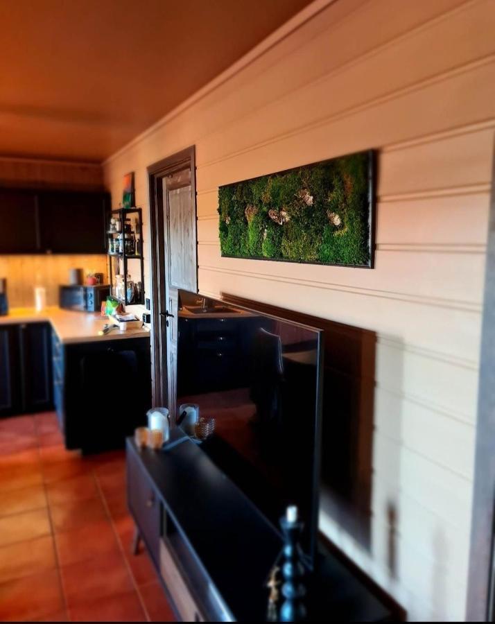 For Rent In Gautefall, Great Location For Skiing, Hiiking And Mountain Biking, Self Serviced But Housekeeping Be Added For An Extra Fee * Drangedal