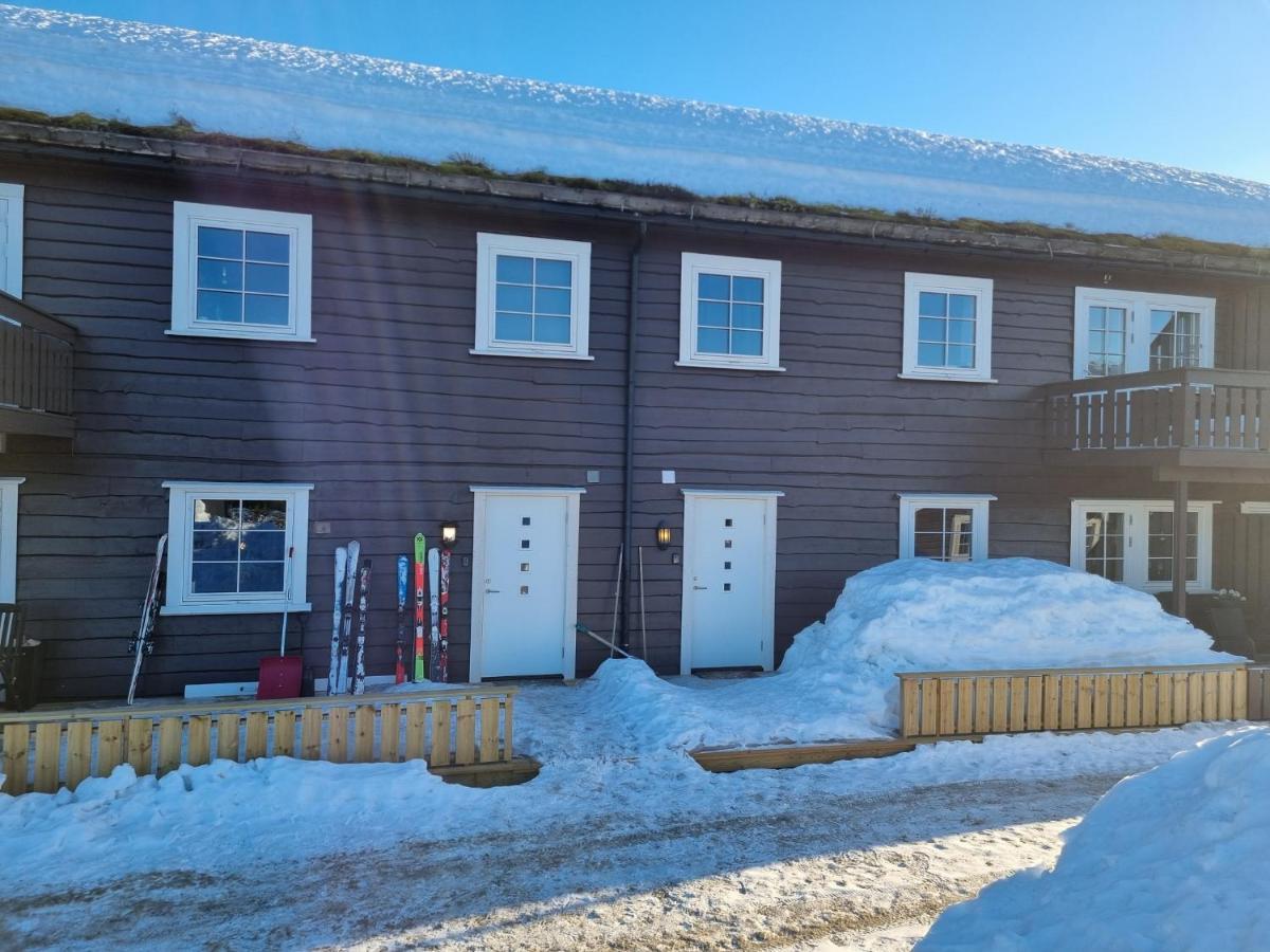 For Rent In Gautefall, Great Location For Skiing, Hiiking And Mountain Biking, Self Serviced But Housekeeping Be Added For An Extra Fee Apartment *
