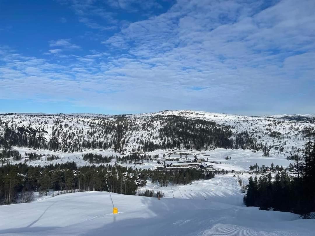 For Rent In Gautefall, Great Location For Skiing, Hiiking And Mountain Biking, Self Serviced But Housekeeping Be Added For An Extra Fee Apartment Drangedal