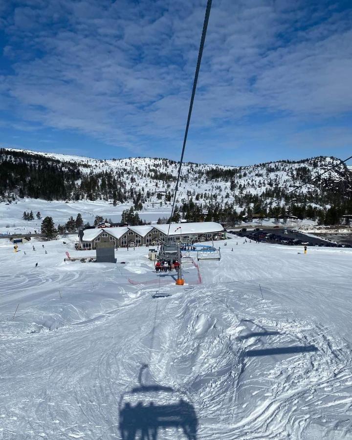 For Rent In Gautefall, Great Location For Skiing, Hiiking And Mountain Biking, Self Serviced But Housekeeping Be Added For An Extra Fee
